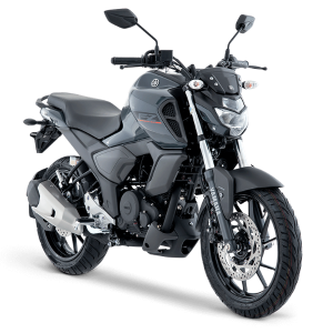 FZ VERSIÓN 3.0 (1)