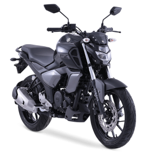 FZ VERSIÓN 3.0 (2)
