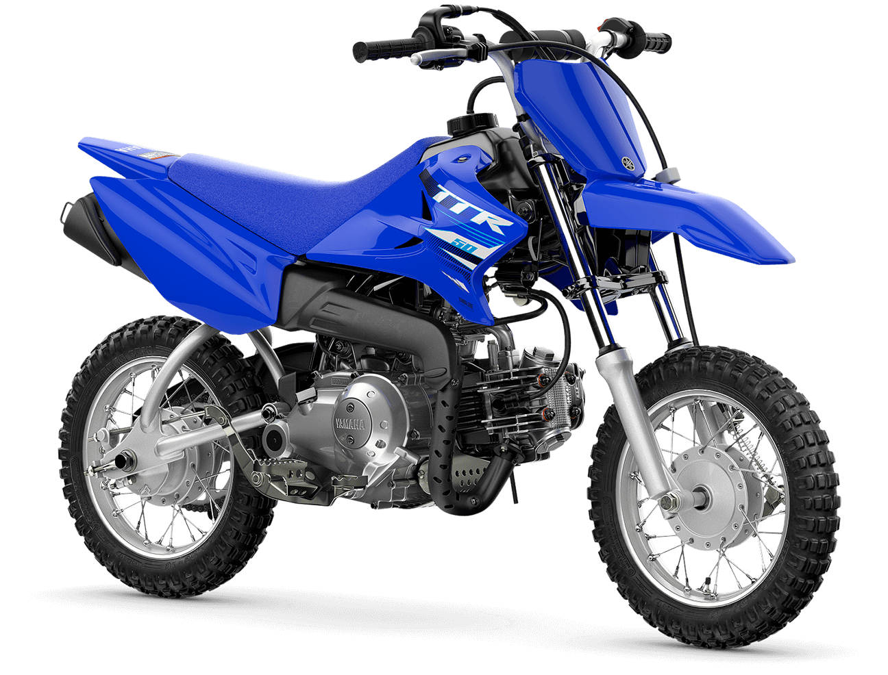 ttr50_2025