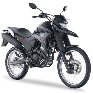XTZ250 (3)